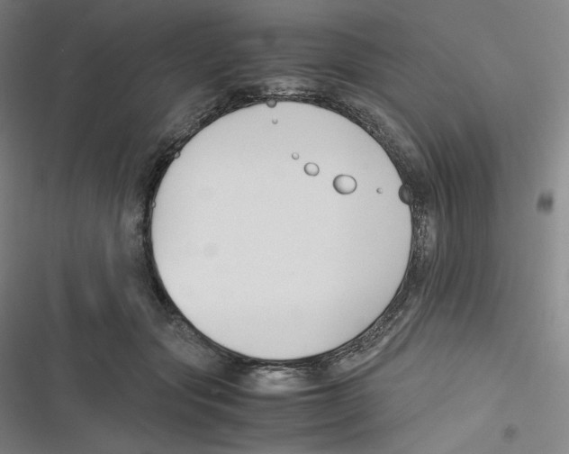 X0000116620557201001081234