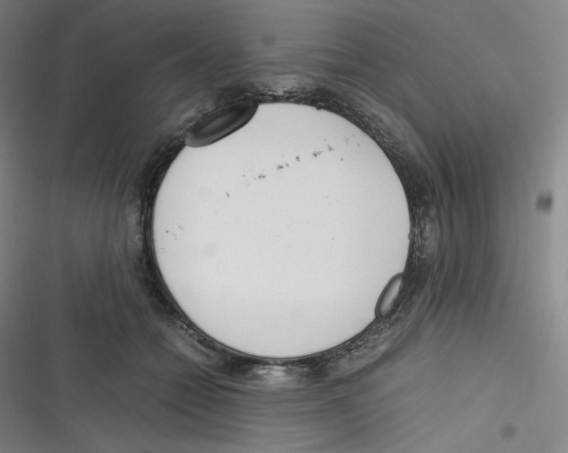 X0000116620558201001081234