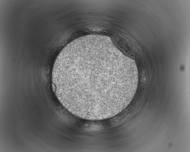 X0000116620559201001081234