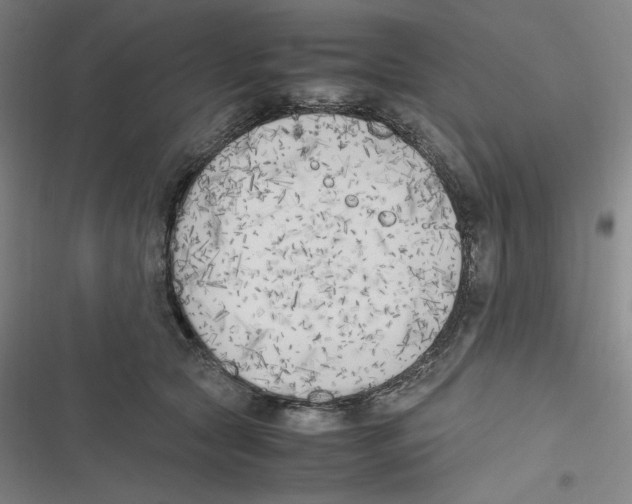 X0000116620561201001081234