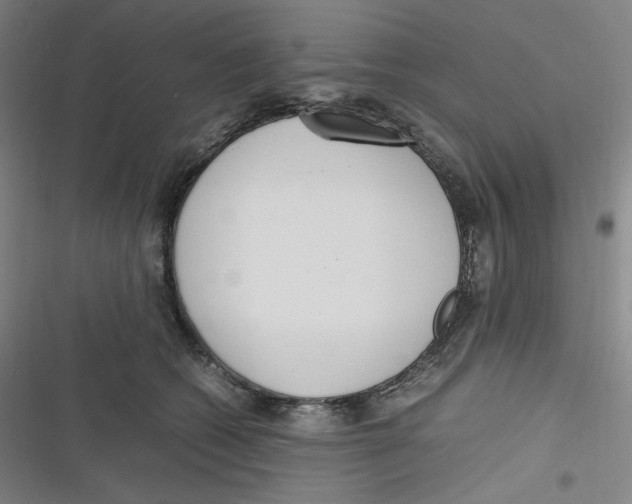 X0000116620562201001081234