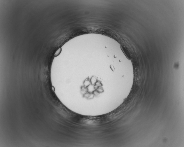 X0000116620563201001081234