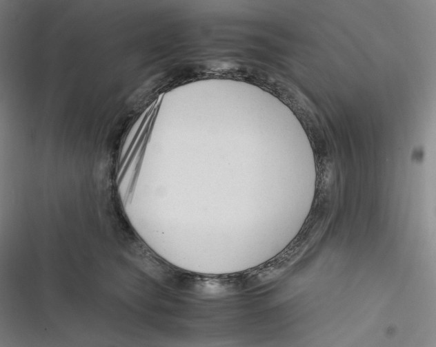 X0000116620565201001081234