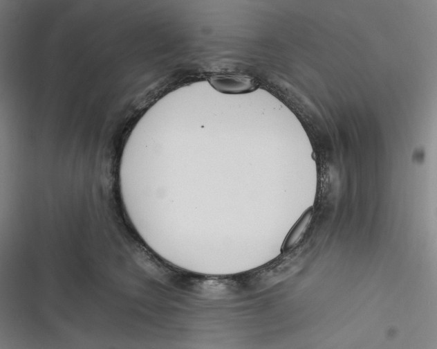 X0000116620566201001081234