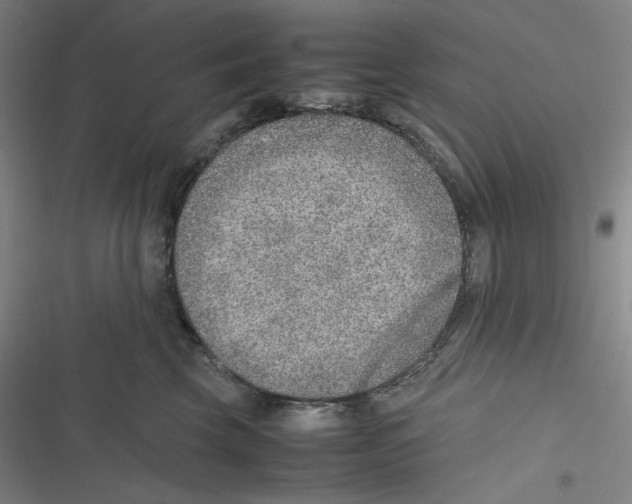 X0000116620569201001081234