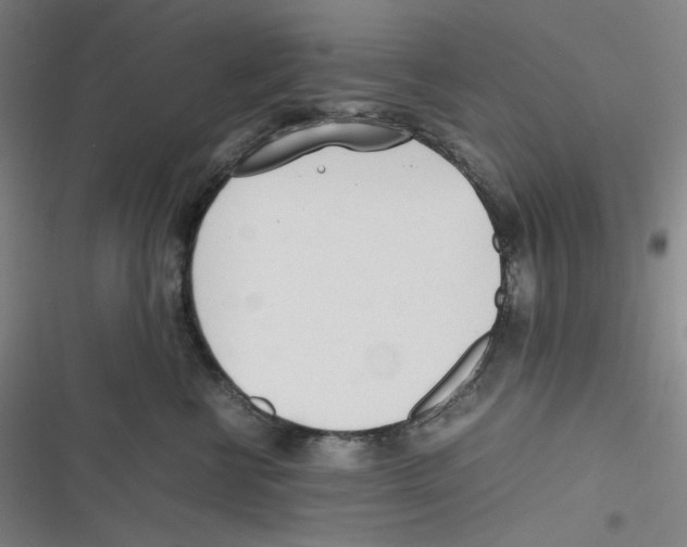 X0000116620570201001081234