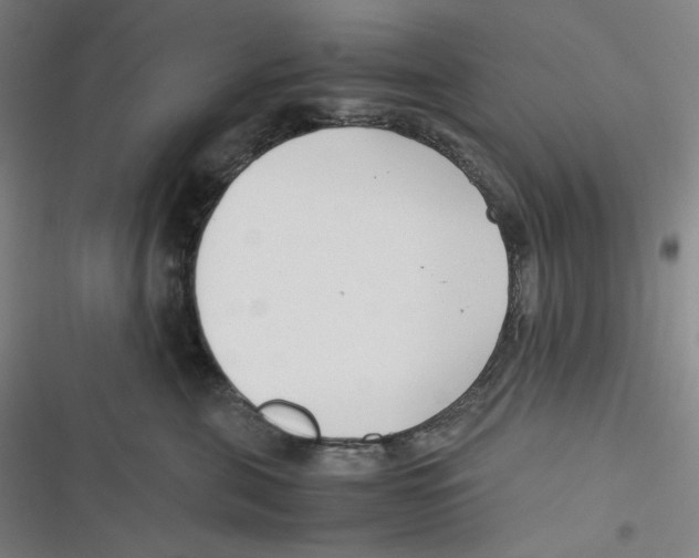 X0000116620571201001081234