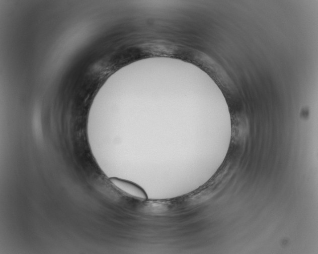 X0000116620573201001081234