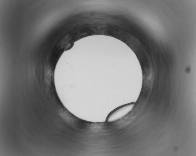 X0000116620574201001081234