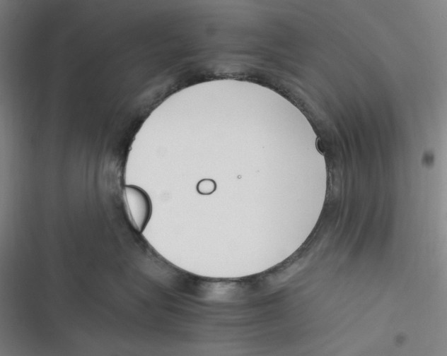 X0000116620575201001081234