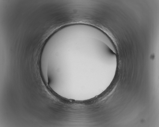 X0000116620577201001081233