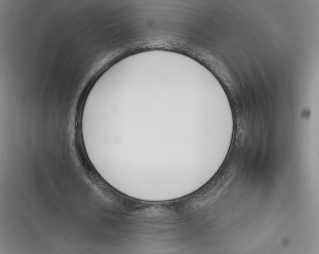 X0000116620578201001081233