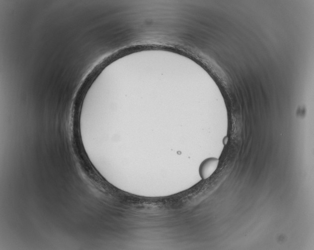 X0000116620580201001081233