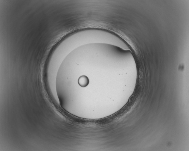 X0000116620581201001081233