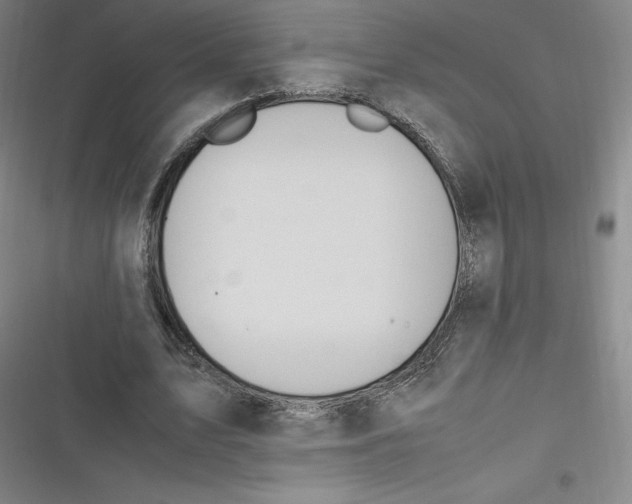 X0000116620583201001081233