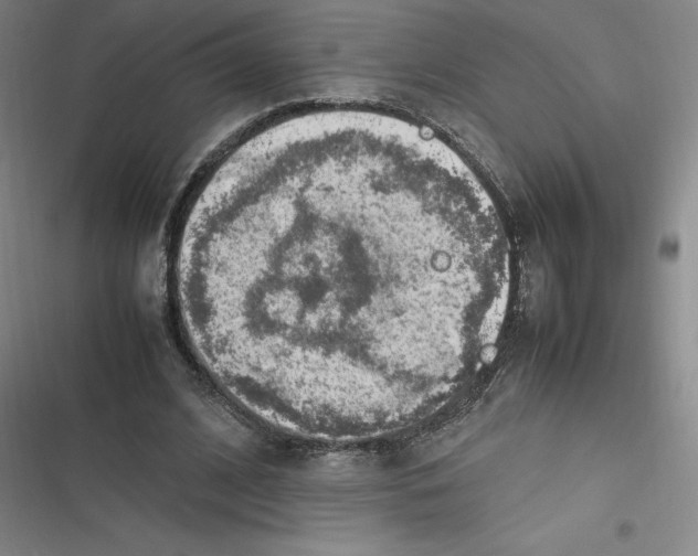 X0000116620584201001081233