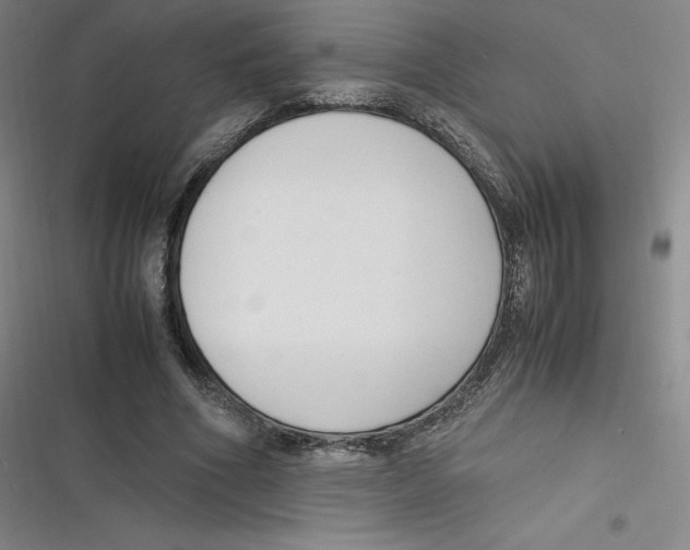 X0000116620586201001081233