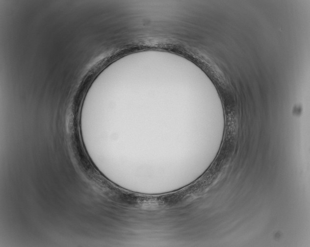 X0000116620587201001081233