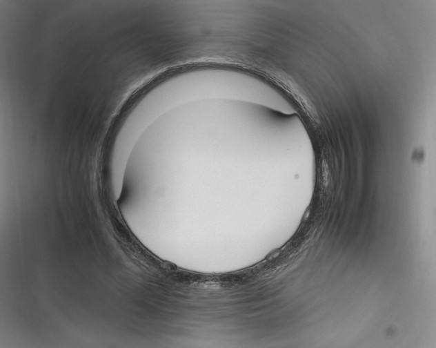 X0000116620588201001081233