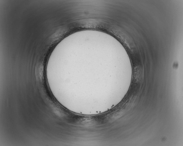 X0000116620589201001081233