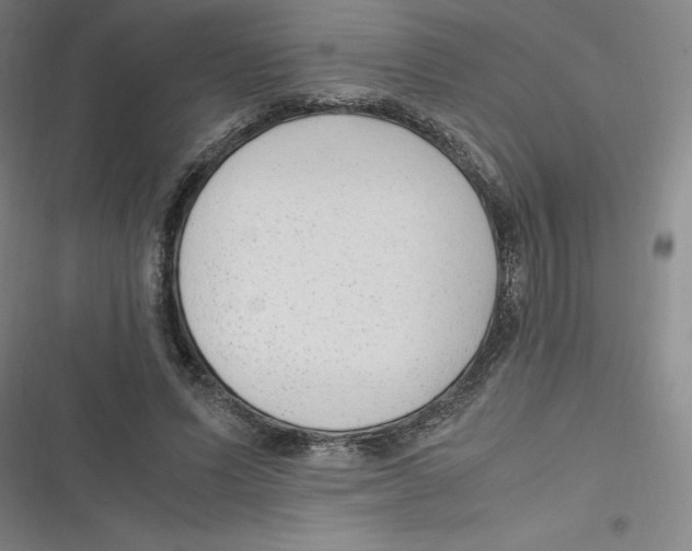 X0000116620591201001081233