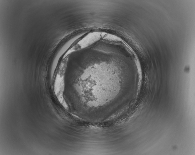 X0000116620592201001081233