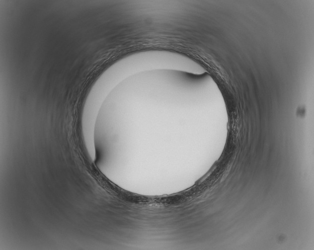 X0000116620593201001081233