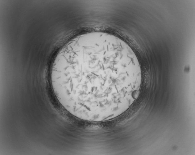 X0000116620594201001081233