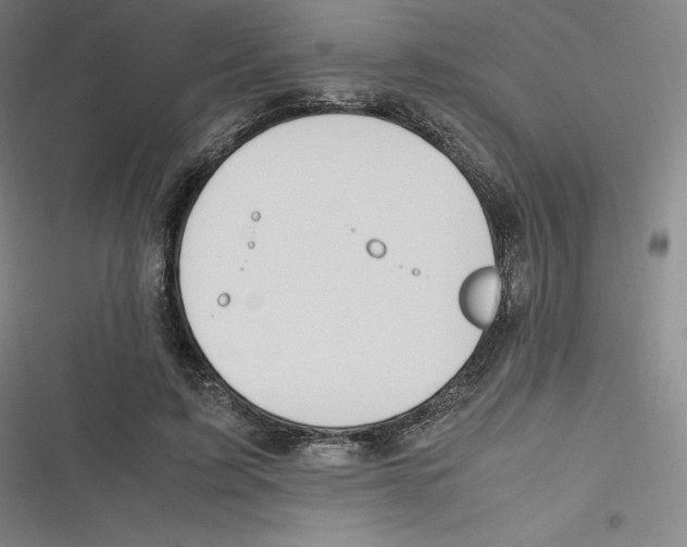 X0000116620595201001081233