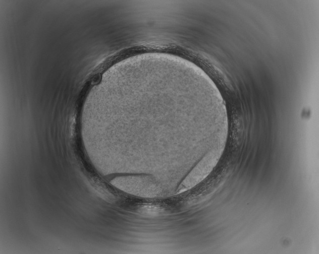 X0000116620596201001081233