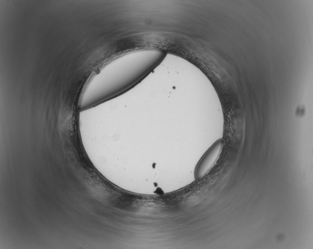 X0000116620597201001081233