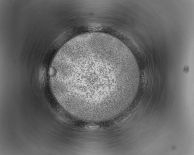 X0000116620598201001081233