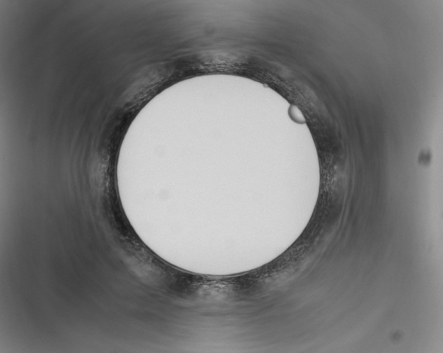 X0000116620599201001081233