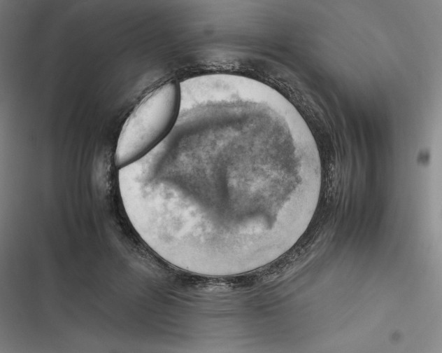 X0000116620600201001081233