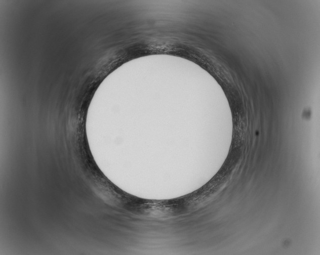 X0000116620601201001081233