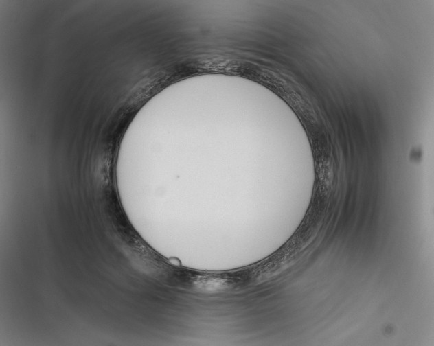 X0000116620602201001081233