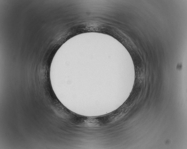 X0000116620603201001081233