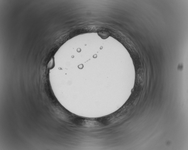 X0000116620605201001081233