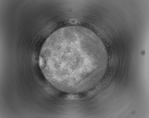 X0000116620606201001081233