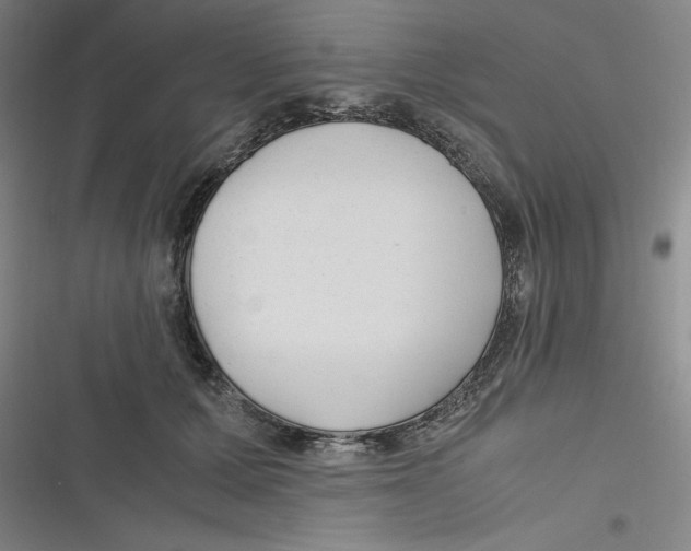 X0000116620607201001081233