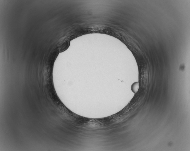 X0000116620608201001081233