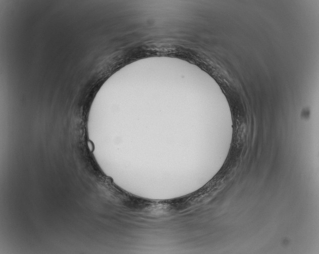 X0000116620609201001081233