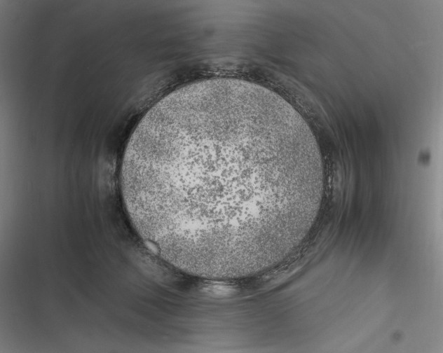 X0000116620610201001081233