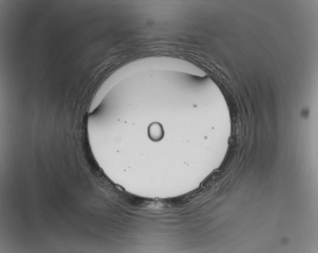 X0000116620611201001081233