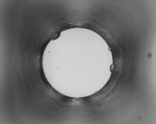 X0000116620612201001081233