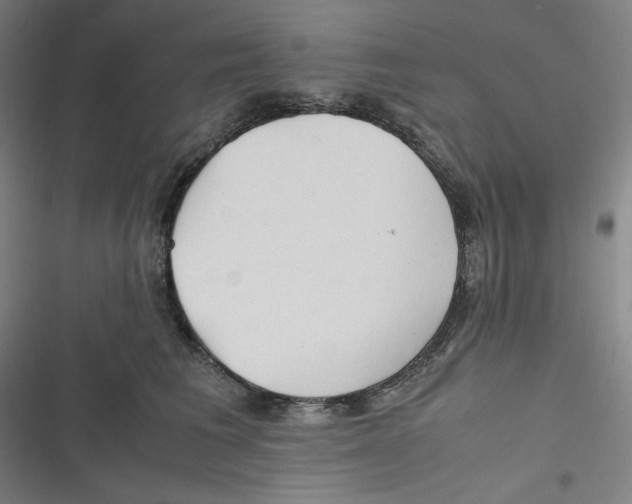 X0000116620613201001081233