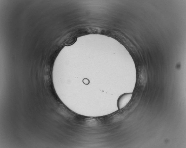 X0000116620616201001081233