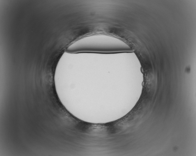 X0000116620617201001081233