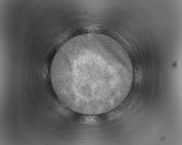 X0000116620618201001081233