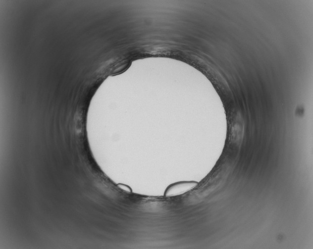 X0000116620620201001081233